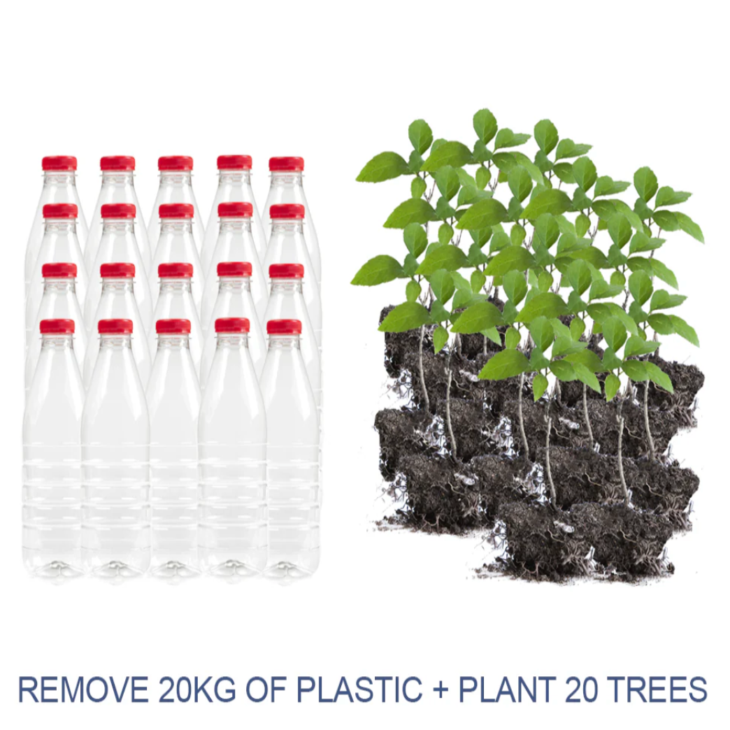 Plastic Offsets The Turtle Tribe