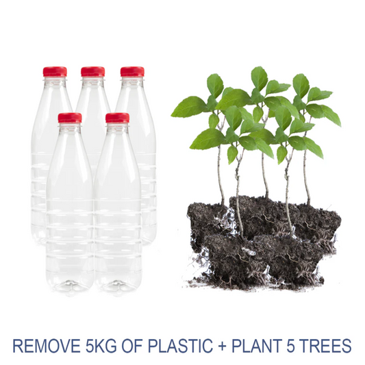 Plastic Offsets The Turtle Tribe