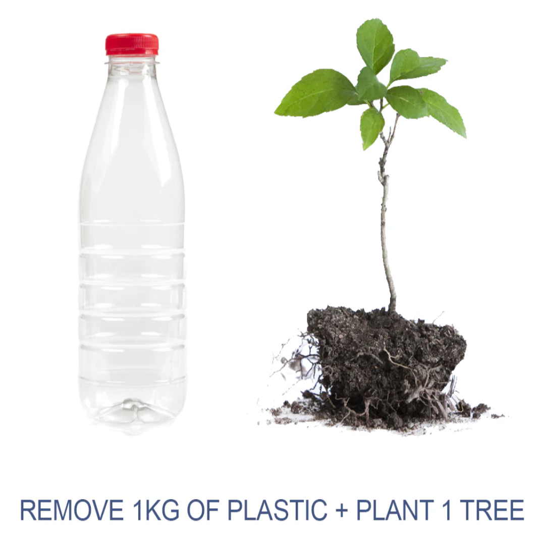 Plastic Offsets The Turtle Tribe