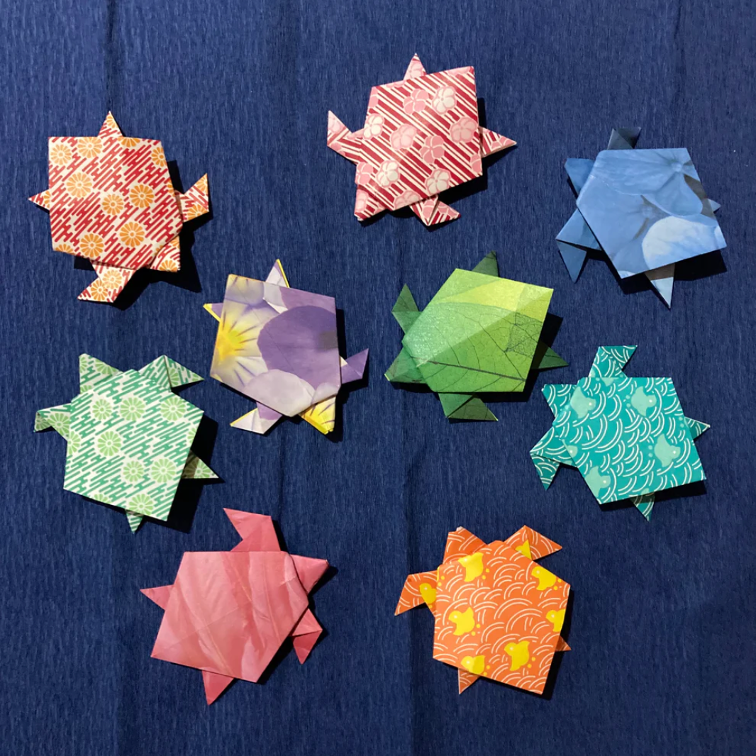 A  FREE GIFT (just pay shipping) MAX 1 PER CUSTOMER Turtle Tribe