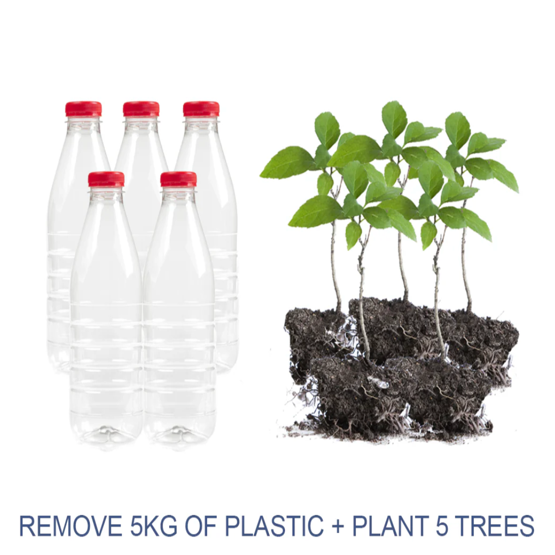 Plastic Offsets The Turtle Tribe