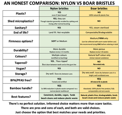 Nylon vs Boar Bristles Honest Comparison