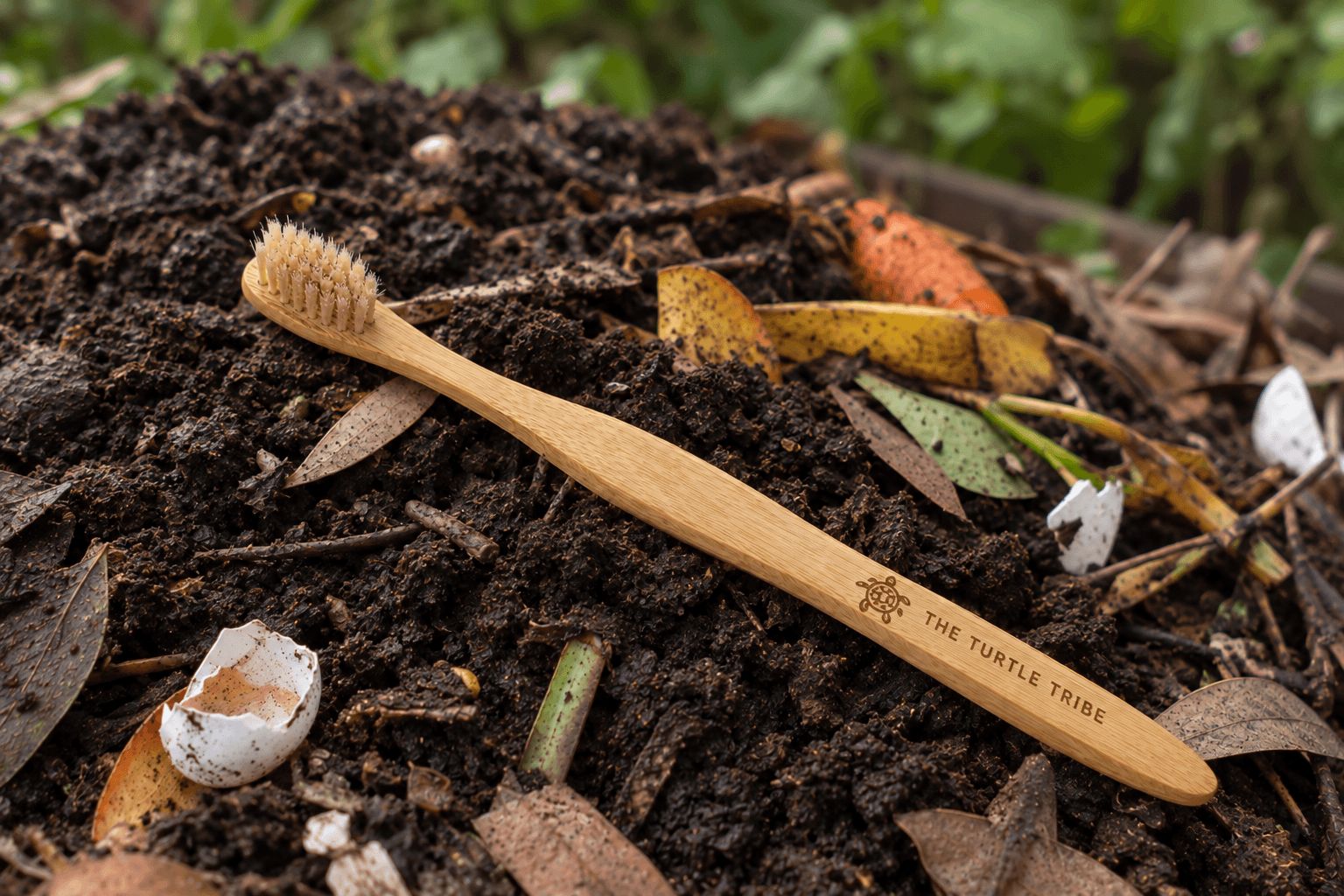 A used The Turtle Tribe natural boar bristle bamboo toothbrush resting on a backyard compost heap