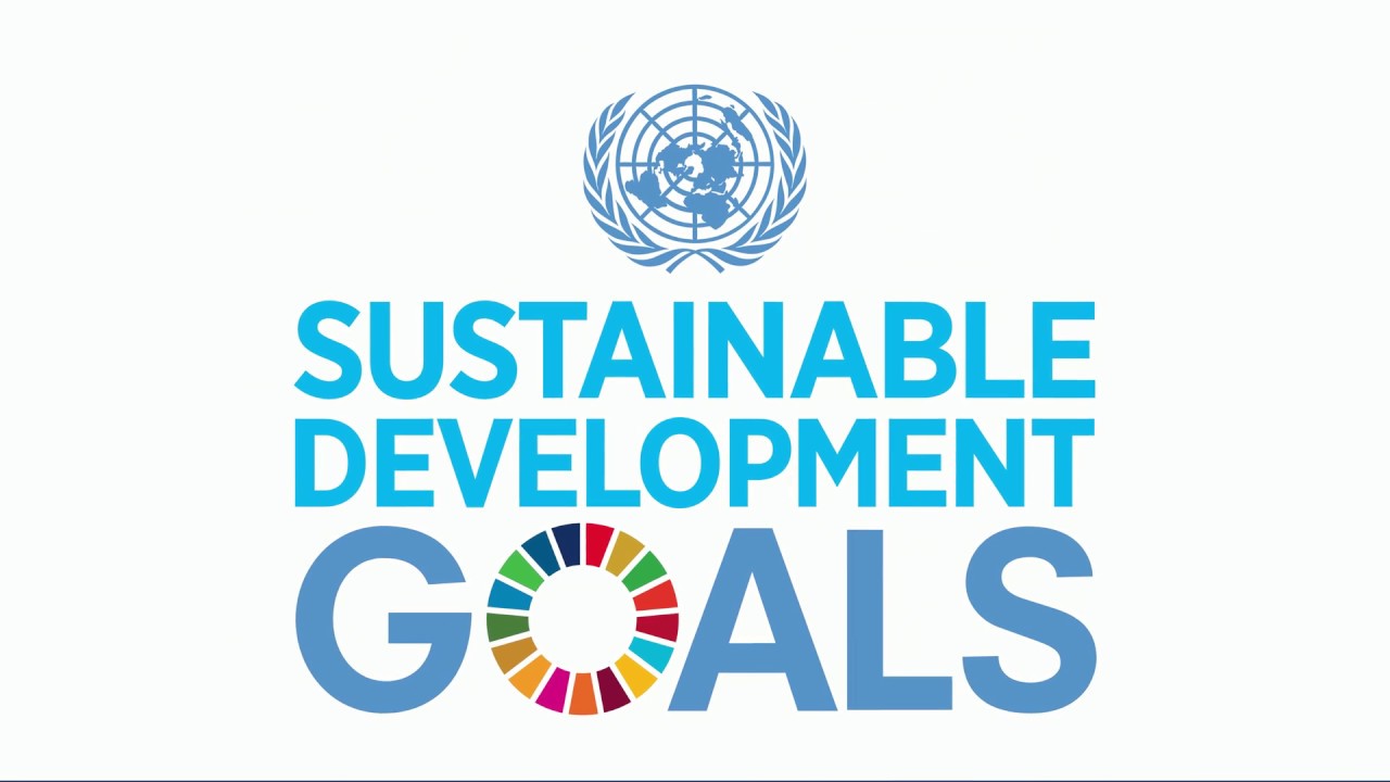 Load video: Sustainable Development Goals